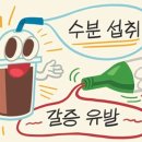 윤희영의 News English] 수분 섭취, 커피는 되고 술은 안 되는 이유 이미지