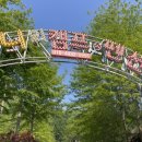 지니의 캠프 이미지