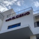 엘씨에르보 | 기장 장안사 가는 길 근처 카페 엘씨에르보 EL CIERVO