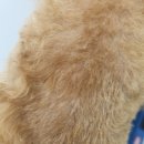 멍무드 살롱 이미지