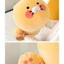 춘식
