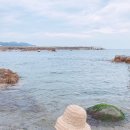 더드림 하우스 펜션 이미지