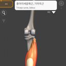 2026.07.01 5주차 강의 이미지