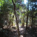 신흥목장 이미지