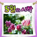세간해