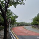 범일2동 행정복지센터 앞 | 부산 갈맷길 3코스 1구간 오륙도 진입데크 ~ 부산진시장 2025년 6월 21일 토요일