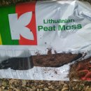 영농조합법인 대청 이미지