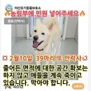 [구조소식] 마산.창원.진해 세 보호소가 통합되면서 많은 안락사가 이뤄지고 있습니다. 이미지