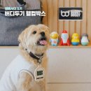 웰컴댕댕 | 버디두기 댕댕앰버서더 5기 웰컴박스 사용 후기