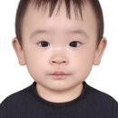 도청사진관 - 안동시 검무로 4-8 | 제주 도청 옆 증명/여권사진 찍으러 다녀 온 후기 | 제주사진관 연동사진관 연관
