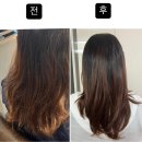 영양-2)영양군 제일안경원 앞 | 울산 삼산 미용실 추천 준오헤어 울산삼산점 영양클리닉 잘하는 곳 상아디자이너 추천