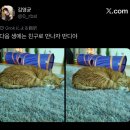 휘여씨에게 이미지