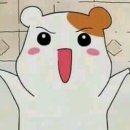 키친에이스