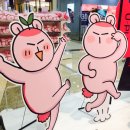 토토스토어 이미지