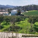 군내북초등학교 이미지