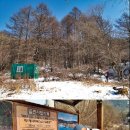 시청사거리 시청 방면 이미지