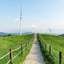 고성목장 이미지