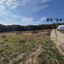 (주)도현레미콘 | 2024타경52817 경기도 안성시 보개면 안성 토지(전)경매 물건