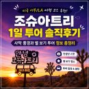 해피트리공원 테니스장 | [미국 서부/LA] 여행 코스 추천, 조슈아트리 국립공원 별 보기 투어 후기·가격 비교·꿀팁 총정리
