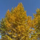 오도보건진료소 이미지