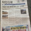 오늘 날자 태안 신문13면에 이미지