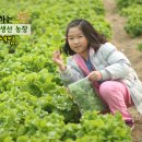 이푸른농원