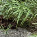 각흘계곡캠핑장 | 포천 각흘계곡 캠핑장 3번째 방문! 프리미엄D사이트+미니펜션 후기