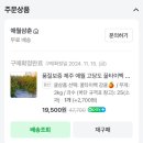 두번째 애월 | 이번 겨울 제주 애월 고당도 꿀타이벡 감귤 산지 직송 귤은 애월삼춘이야! 두 번째 구매 후기