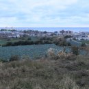 고내마을 이미지