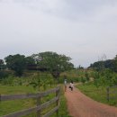 수륙식품 이미지