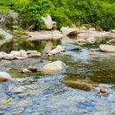 키즈 팰리스 이미지