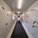 이스트타워 클럽올림푸스 이미지