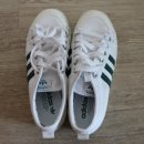 유행세탁 이미지