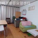 금빛재가쎈타 네이버블로그