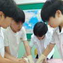 마산동중학교 이미지