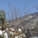 정한농원 이미지