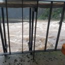 SG  스크린 골프존 이미지