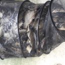 산외 강현낚시터 이미지