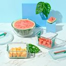 에스지씨솔루션(주)