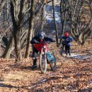 당곡목장 이미지