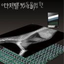 아이러브펫 동물병원 작전점 | 인천 작전동 동물병원 아이러브펫동물병원 진료시간 접근성 이용후기