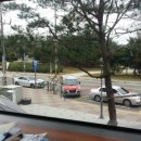 와이블랑헤어