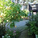 해조음펜션 이미지