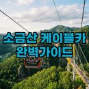 뉴남원주카 | 2026 원주 소금산 출렁다리 케이블카 요금 및 운영시간 총정리