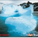 연보라(주) 이미지