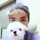 보람동물병원 이미지