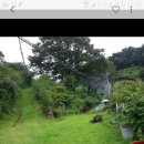 화순농장 이미지