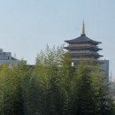 브라운도트 경주보문점 | 경주 호텔 황룡원뷰 브라운도트 경주보문점 클래식 후기