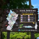 함안 화림계곡 농월정 / 상림숲 트레킹 2023,8,12 이미지