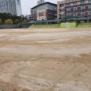 효덕초등학교 운동장 이미지